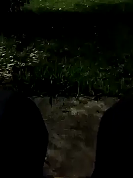 roludao fun online show from November 11, 2025, 10:54 pm