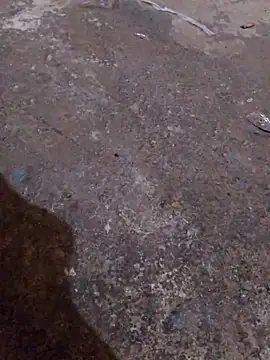 Orlao25cm online show from November 16, 2025, 4:40 am