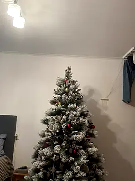 Snapshot of Amelia-Diamond chatting on December 15, 2025, 10:41 am Amelia-Diamond online show from December 15, 2025, 10:41 am