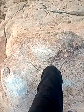 kumarstelugu online show from January 15, 2026, 1:54 am