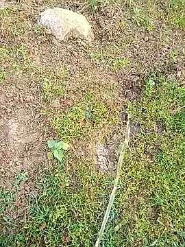 kumarstelugu online show from January 16, 2026, 2:59 am