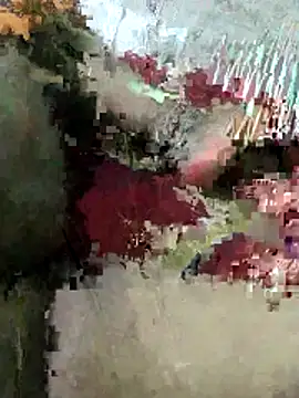 sexy 6hvhhh online show from October 26, 2025, 12:44 pm