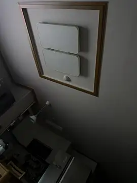 Snapshot of pkl030 chatting on March 27, 2026, 1:33 pm pkl030 online show from March 27, 2026, 1:33 pm