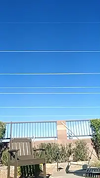 alphacloudGod online show from April 21, 2026, 11:29 pm