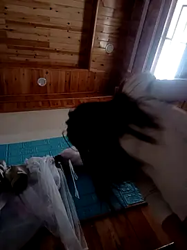 Snapshot of kokoto-59 chatting on February 7, 2026, 1:09 am kokoto-59 online show from February 7, 2026, 1:09 am