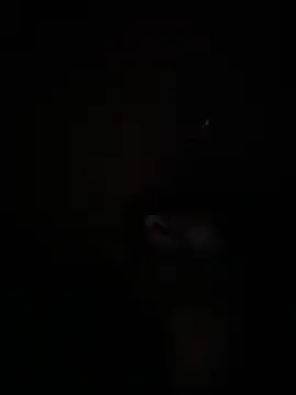 Paapii1098 online show from December 16, 2025, 12:48 am