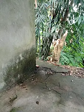 Bear bear0 online show from November 8, 2025, 1:50 am