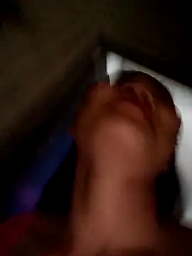 Bear bear0 online show from April 18, 2026, 12:47 am