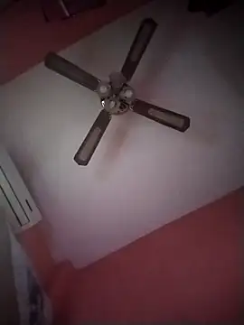 Danii2005 online show from November 6, 2025, 1:34 pm