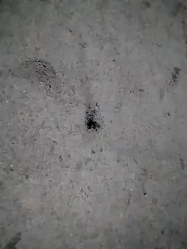 rickkis2k online show from December 21, 2025, 11:01 pm