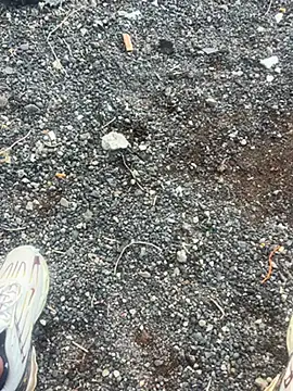 Rico1 1 online show from November 18, 2025, 8:41 am