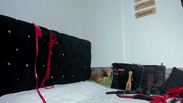 abby mullerr online show from December 3, 2025, 9:57 pm