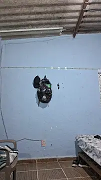 666Daemon666 online show from February 17, 2026, 7:16 am