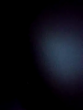 BulbasaurIsmettv online show from December 2, 2025, 4:07 am