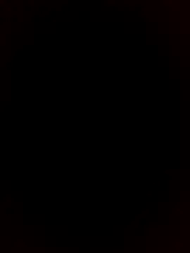 Morbosnif online show from January 15, 2026, 12:48 am