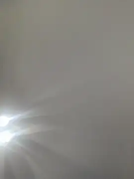 wloczykij1 online show from February 24, 2026, 8:18 pm