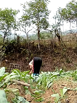 Noelle-e online show from April 7, 2026, 10:26 am