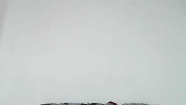 Snapshot of Mia_fox29 chatting on October 31, 2025, 1:01 pm Mia fox29 online show from October 31, 2025, 1:01 pm