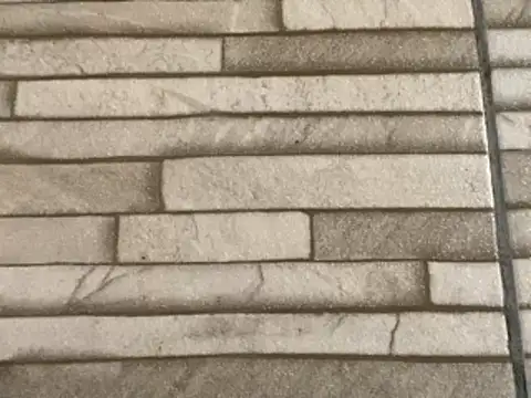  DignoDePutaria  online show from January 16, 2026, 2:43 pm