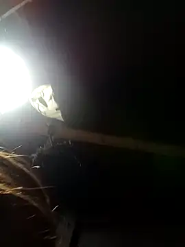 bella-la online show from February 9, 2026, 11:14 am