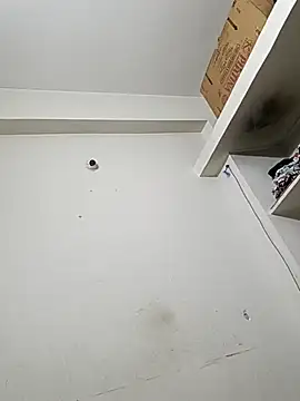 bigtelugubhama online show from December 14, 2025, 11:53 pm