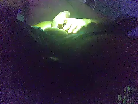 analice32456 online show from March 3, 2026, 6:52 am