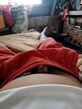 Awildman21 online show from November 28, 2025, 12:57 am