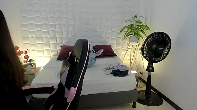 victoria 243 online show from February 16, 2026, 4:19 am