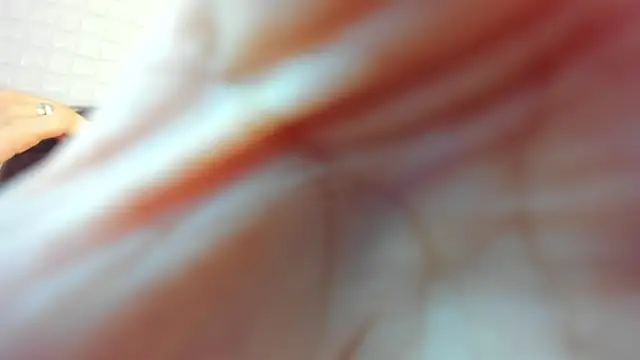 victoria 243 online show from February 23, 2026, 3:59 am