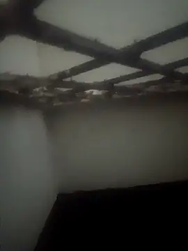 Pallu Asha online show from March 15, 2026, 3:51 pm