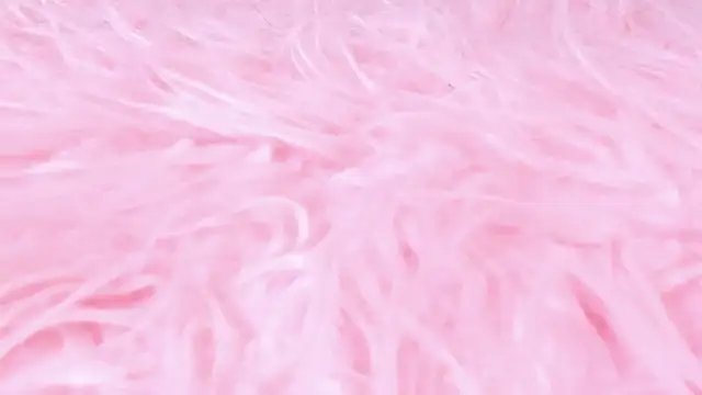 scarlett leblanc  online show from March 24, 2026, 11:59 am