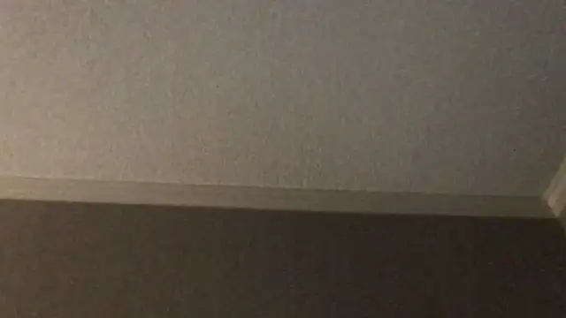 Snapshot of RyanSteeleXXX chatting on December 2, 2025, 6:41 am RyanSteeleXXX online show from December 2, 2025, 6:41 am