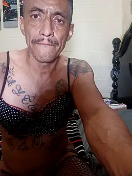 Innsacianle online show from February 20, 2026, 7:10 am