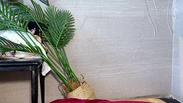 0xiaosu0 online show from December 20, 2025, 3:24 am