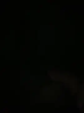 Manfredini607452 online show from November 18, 2025, 12:49 am