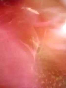 Snapshot of Jooli_cuty chatting on March 14, 2026, 2:28 am Jooli cuty online show from March 14, 2026, 2:28 am