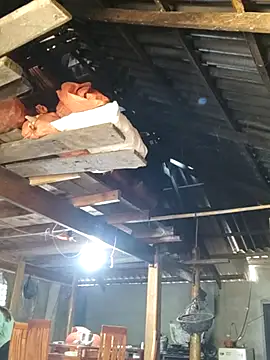 bibo-sex online show from November 26, 2025, 5:41 am