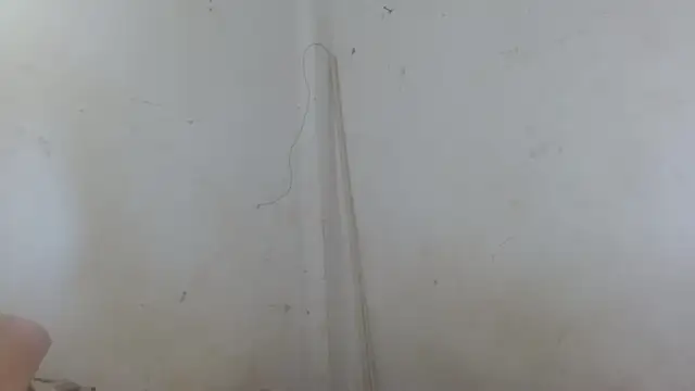 Snapshot of the_breasts_of_desir_ chatting on November 11, 2025, 1:55 pm the breasts of desir online show from November 11, 2025, 1:55 pm