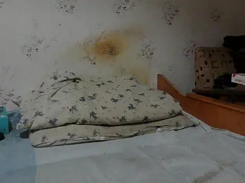 Kreol69 online show from November 24, 2025, 4:12 am