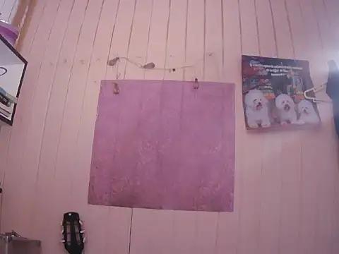 Zulreyna online show from November 25, 2025, 4:56 am