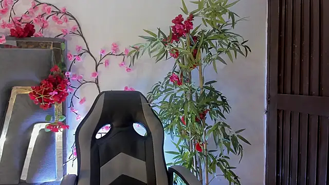 DanfneTorres online show from November 19, 2025, 7:36 pm