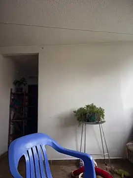 Nick juniorrx online show from November 28, 2025, 4:20 pm