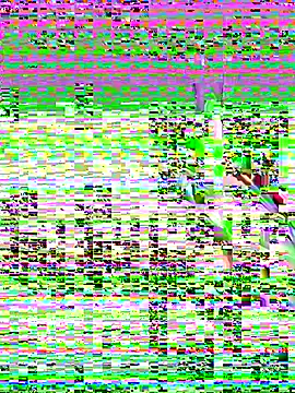 Snapshot of leenaboy@xh chatting on November 27, 2025, 4:31 pm leenaboyxh online show from November 27, 2025, 4:31 pm