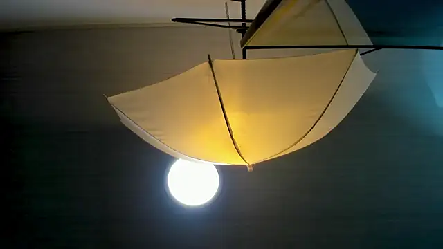 EvaLuxxe online show from November 30, 2025, 8:46 pm