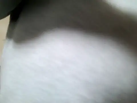 Snapshot of Olifesse chatting on May 16, 2026, 8:22 am Olifesse online show from May 16, 2026, 8:22 am