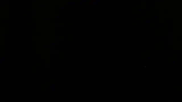 shark boy28 online show from November 20, 2025, 2:56 am