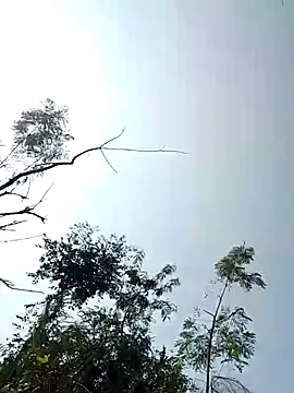 Anjali bady online show from November 22, 2025, 5:50 am