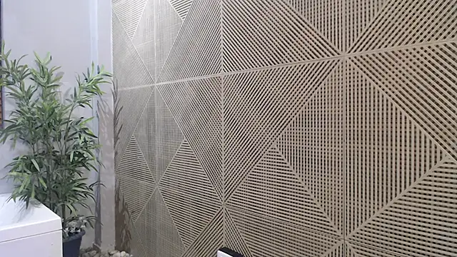 Noah dupont  online show from November 20, 2025, 11:54 am