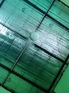 Snapshot of Keya-009 chatting on April 6, 2026, 9:10 am Keya-009 online show from April 6, 2026, 9:10 am