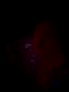 jacka 305 online show from November 22, 2025, 10:36 am